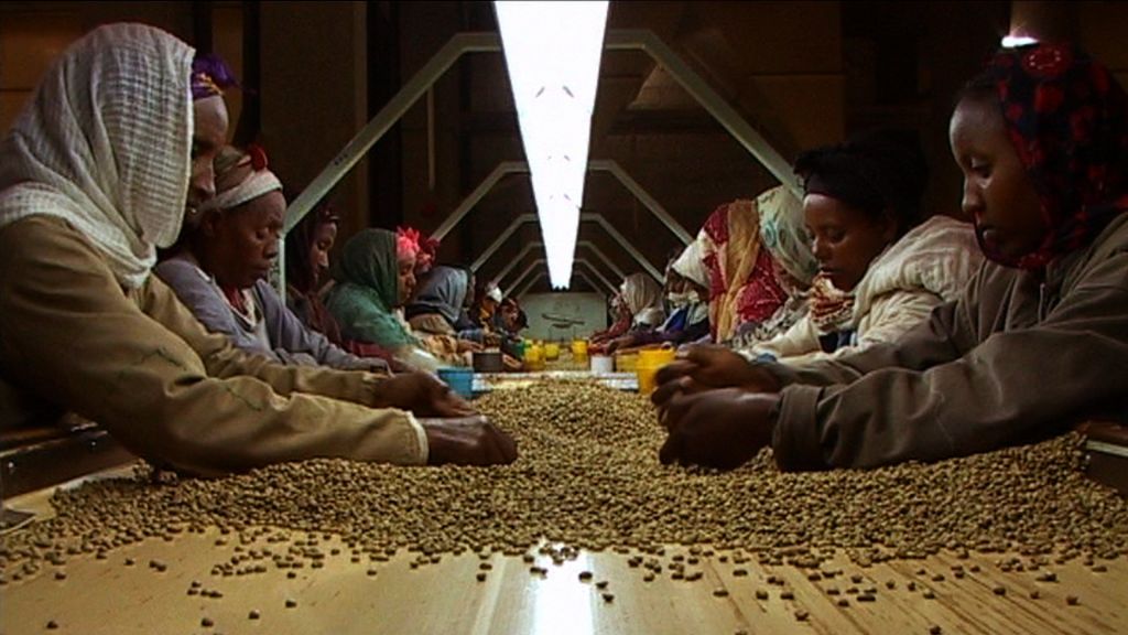 Ethiopian women sit across from one another at a long table, picking through piles of coffee beans