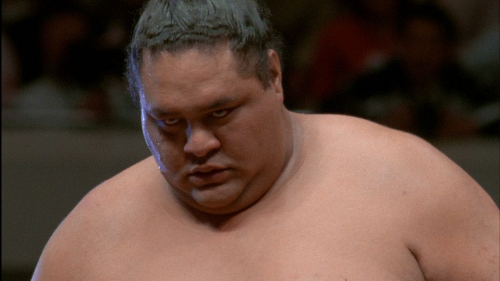 A sumo wrestler stares into the camera