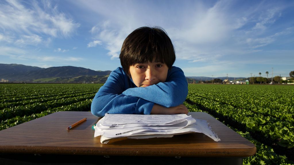 Young Latino boy sits at a classroom desk in the middle of a lettuce field.