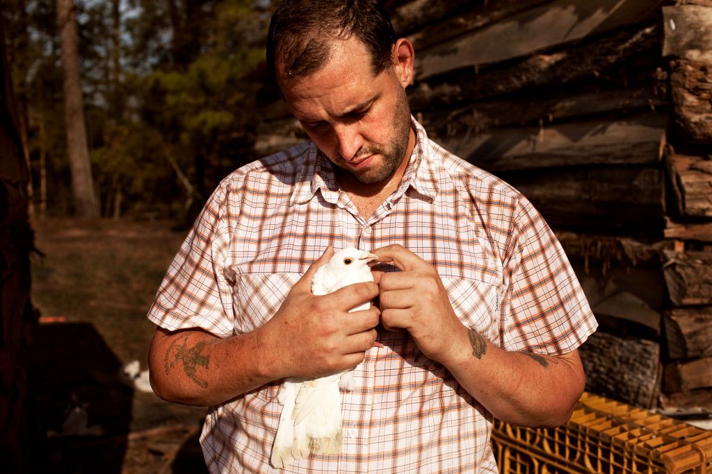 Army veteran Alex Sutton holds a baby bird in Farmer Veteran