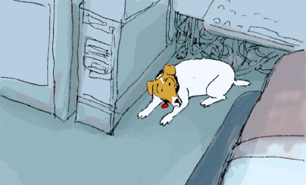 From Paul Fierlinger's Still Life with Animated Dogs, his dog Spinnaker