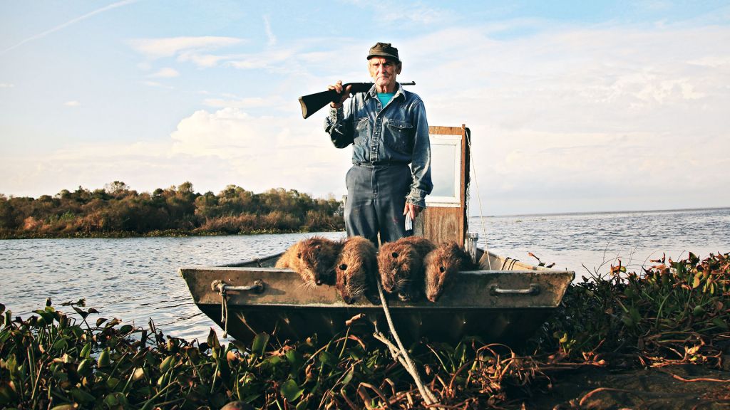 Nutria hunter, on the bayou, in Rodents of Unusual Size