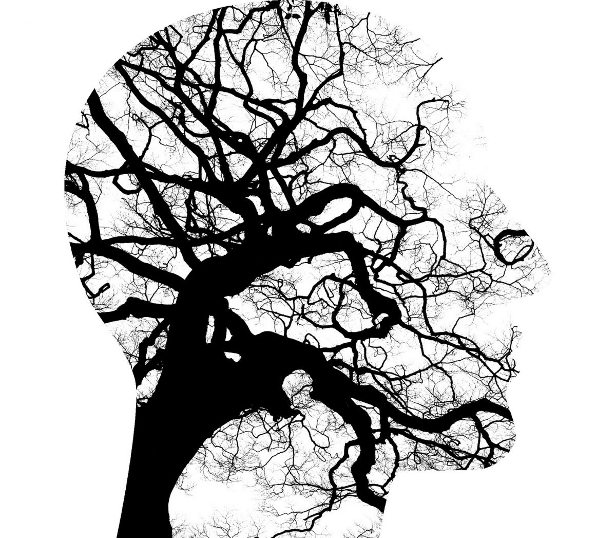 Illustration of a side profile of a human head filled in with a black and white image of a tree with many wiry-looking branches.