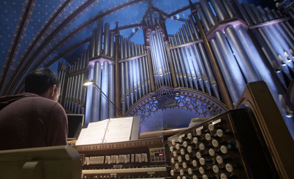 A man, with his back to the camera, plays a large pipe organ that reaches to the ceiling of a church.