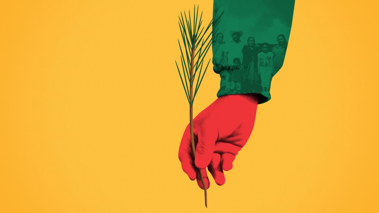 An illustration of a red hand holding a pine sapling. A photo of a family is superimposed on the arm above the hand.