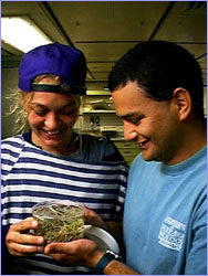 Jozee Sarrazin and Istvan Urcuyo examine tubeworms.