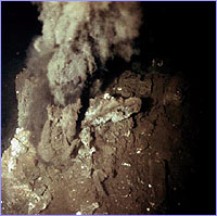 Billowing 'smoke' from a deep-sea vent.