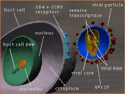 Labeled diagram of entry scene