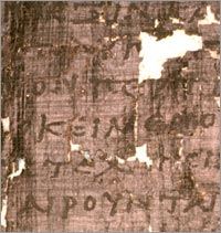 Herculaneum codex