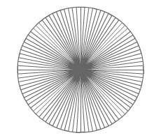 circumscribed polygons