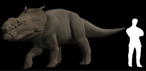 Pachyrhinosaurus