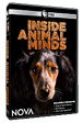 Inside Animal Minds