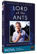 Lord of the Ants