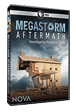 Megastorm Aftermath