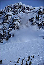 Powder avalanche