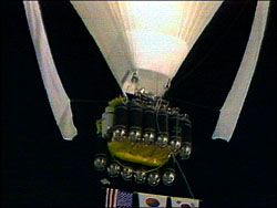 Fossett Capsule