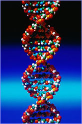 DNA