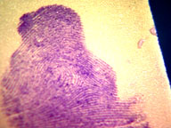 fingerprint highlighted