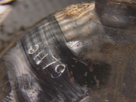 gas canister