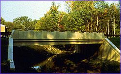 Beam bridge