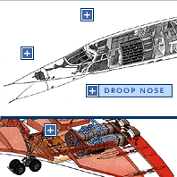 Anatomy of Concorde