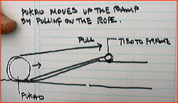 Sketch of Pakau-raising method