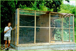 Aviary