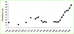 Robin chart 1