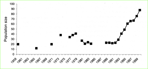 Robin chart 1