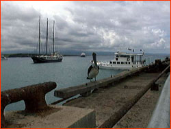 The harbor, with the Orca (white motor launch) in distance