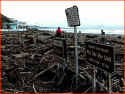 Santa Cruz beach, with flotsam and jetsam washed up from storm