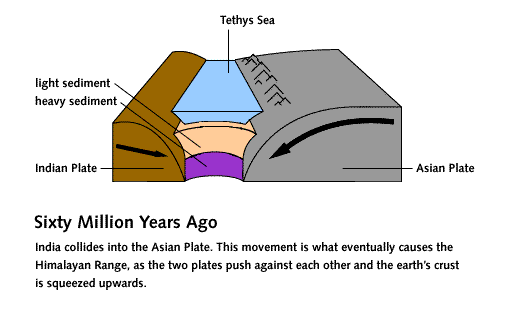 diagram of Indian plate sliding toward Asian plate; junction with Tethys sea between. Text reads 'Sixty Million Years Ago: India collides into the Asian Plate. This movement is what eventually causes the Himalayan Range, as the two plates push against each other and the earth's crust is squeezed upwards.'