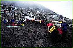 Loading yaks at base of trail