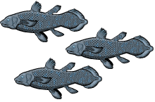 School of coelacanths