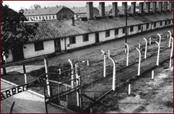 Auschwitz