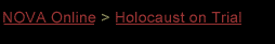 NOVA Online | Holocaust on Trial