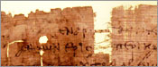 NOVA scienceNOW: Papyrus