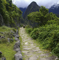 Inca trail