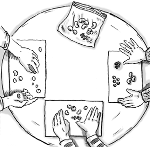 Overhead view of sorting table