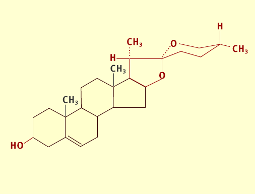 Steroid path 1