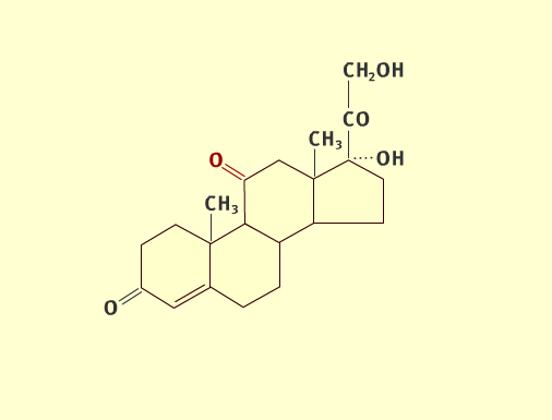 Steroid path 5