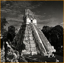 Tikal After