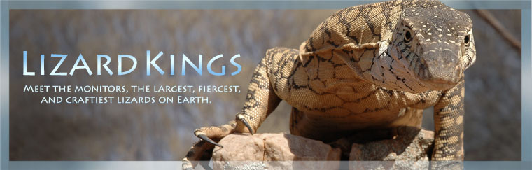 Lizard Kings: Meet the monitors, the largest, fiercest and craftiest lizards on Earth. Airs on PBS October 20, 2009