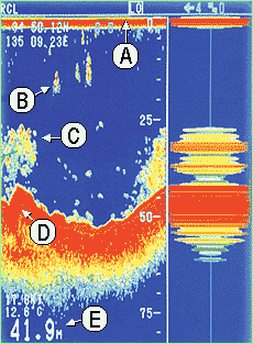 Fish finder scope image