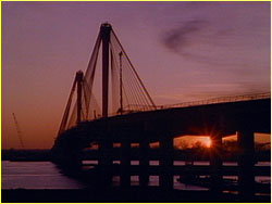 Cable-stayed bridge