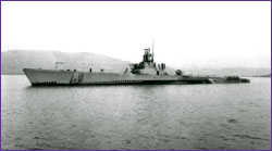 USS Cod