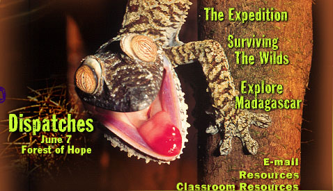 (see links below for navigation)