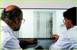 Researchers examining DNA sample