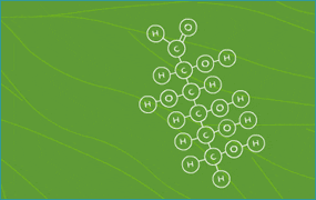 Diagram: glucose molecule