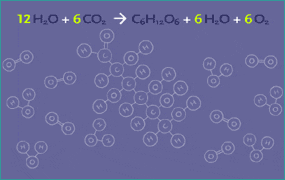 Diagram: glucose molecule with reaction formula